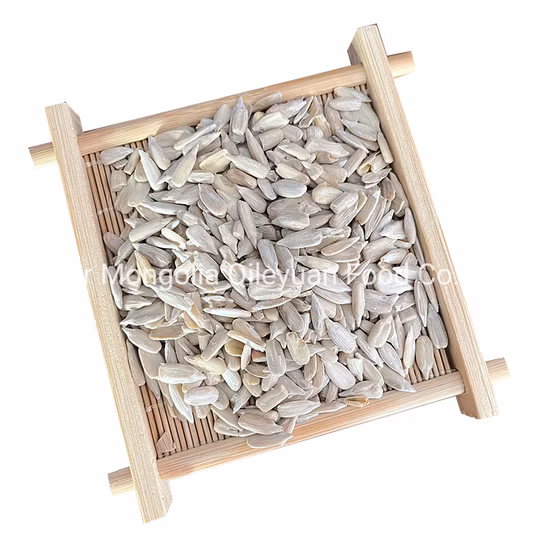 High Quality White Sunflower Seeds/ Kernels From Turkey Wholesale Product - White Sunflower Kernels