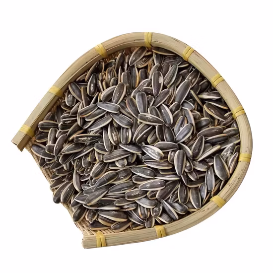 Semillas de girasol chinas negras de alta calidad grandes a granel al por mayor Xinjiang 361/363/601