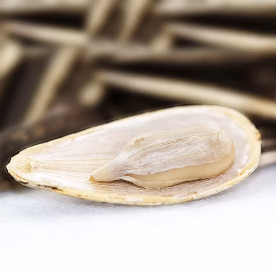 Semilla de girasol cruda de gran tamaño tipo 363 361 601 de fábrica directa