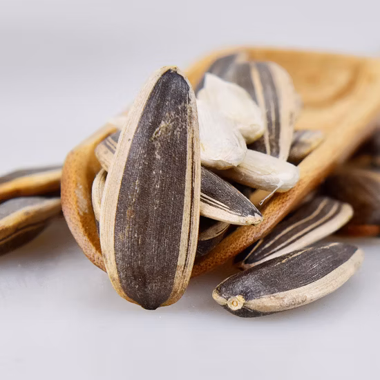 Semillas de girasol de gran tamaño con todos los tipos