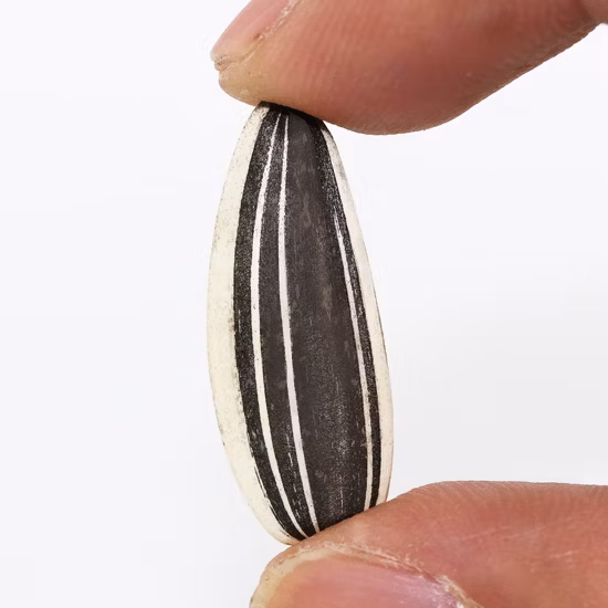 Entrega rápida china negra blanca cruda de semillas de girasol grandes